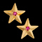Ruby star earrings